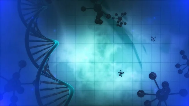 聚氨酯小分子量聚醚對聚氨酯泡沫孔隙結構和物理機械性能的調控研究