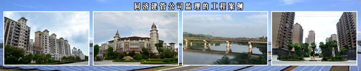 延遲型金屬催化劑在單組分濕固化聚氨酯中的應(yīng)用，提升儲(chǔ)存穩(wěn)定性和固化效率。